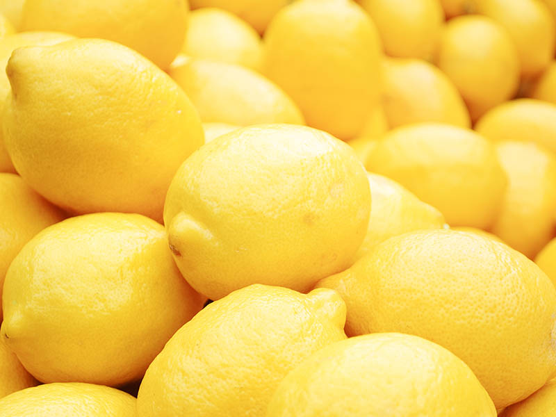 Limone - Yogurt gusto limone - Fresco - Latteria di Roverbasso